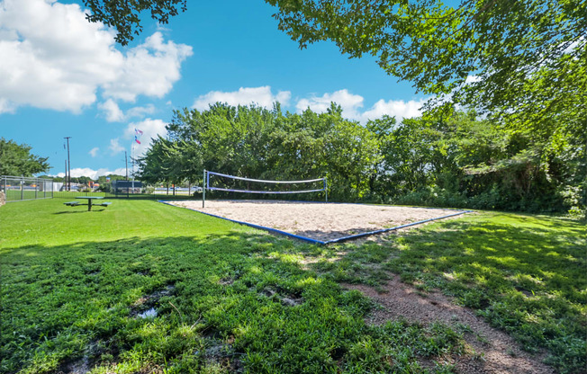 a volleyball court in a park with trees