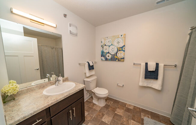 Luxurious Bathrooms at Strathmore Apartment Homes, West Des Moines, 50266