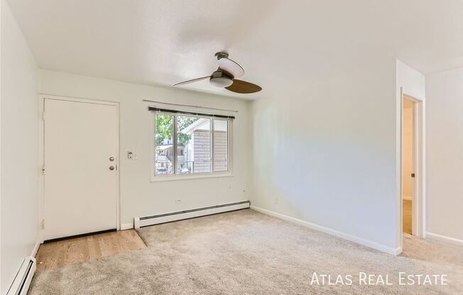 317 REMINGTON ST