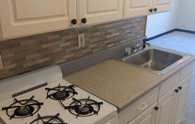 Studio, 1 bath, $795, Unit 310