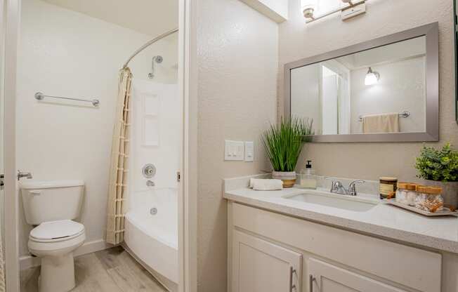 a bathroom with a shower toilet and sink