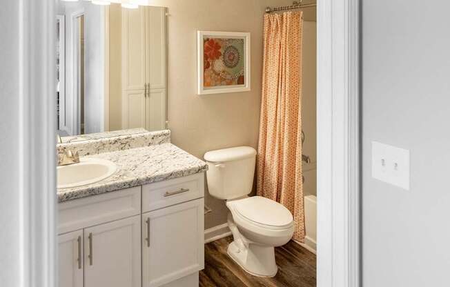 A bathroom with a toilet, sink, and shower curtain.