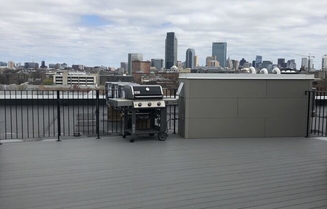 Roof Deck with Gas Grill for Tenant Use