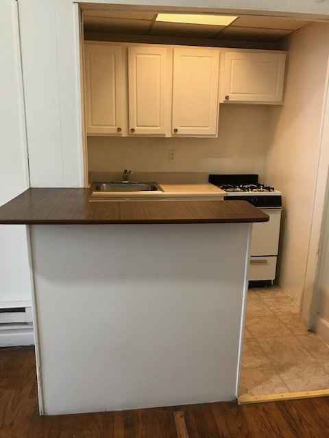 Studio, 1 bath, 450 sqft, $1,019, Unit 42-1R