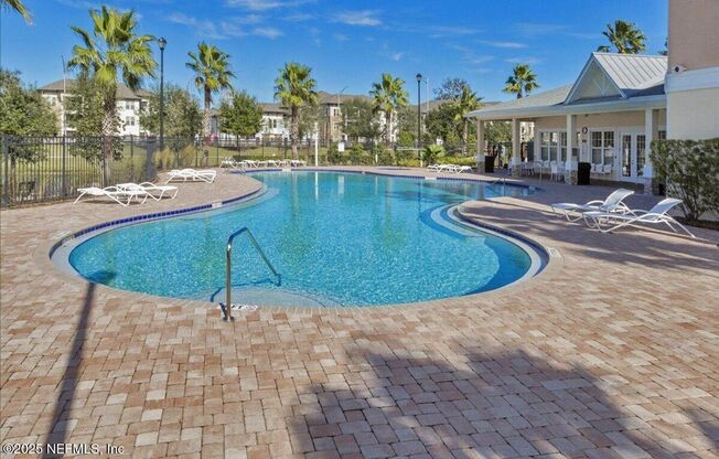 8201 Green Parrot #307