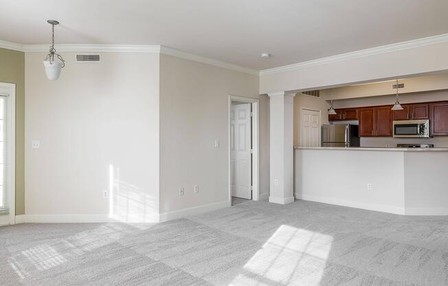OPEN CONCEPT LIVING