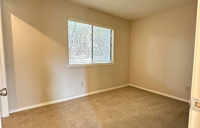 1 bed, 1 bath, $1,295, Unit 53
