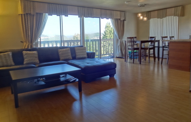 Hillside Renton View Home