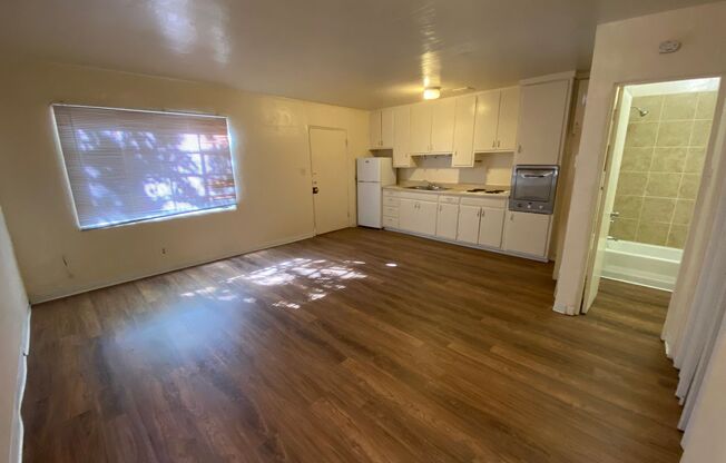 Studio, 1 bath, 400 sqft, $725, Unit 1620-4