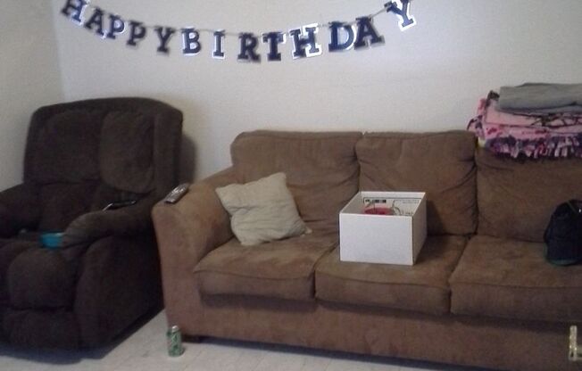 Cheeseplant Apartments