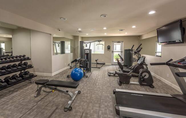 a gym with cardio machines and weights and a tv