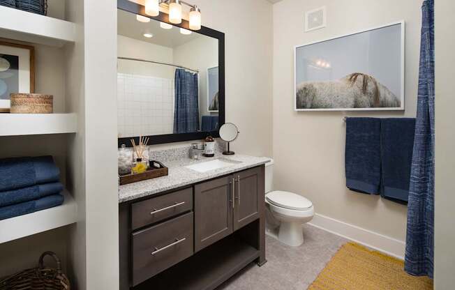 A bathroom with a toilet, sink, shower, shelving storage, and a mirror.