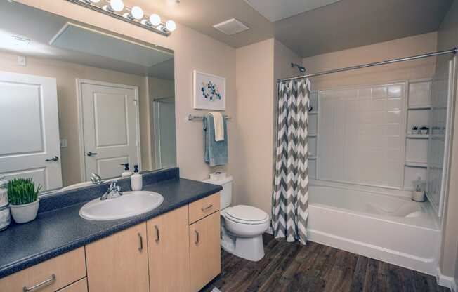 a bathroom with a shower toilet and sink and a mirror