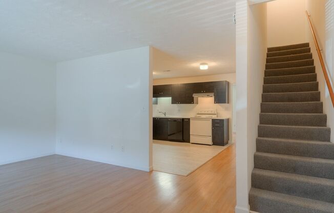 4 bedroom / 2 1/2 Bath. Undergrad Welcome. Off Street Parking, Bus Route