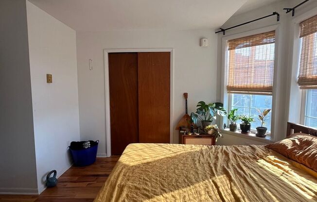 1 bed, 1 bath, $1,095