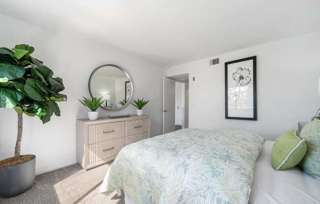 a bedroom with a bed and a mirror and a plant