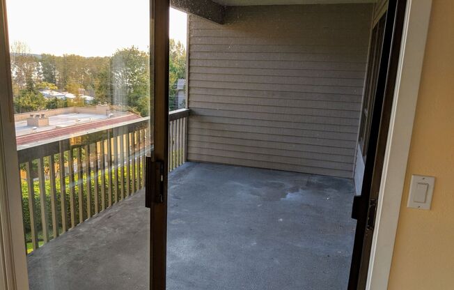 2 beds, 2 baths, $2,600, Unit Apt 303