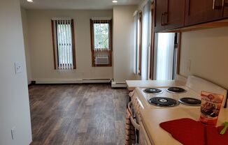 Studio, 1 bath, 253 sqft, $900, Unit 210