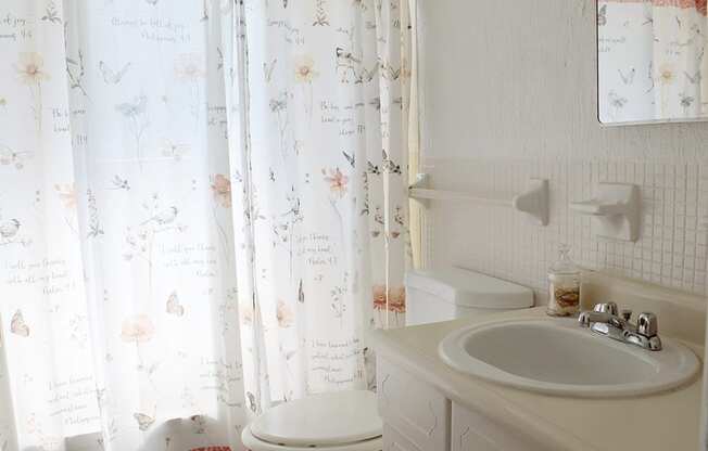 a bathroom with a sink and a toilet and a shower curtain