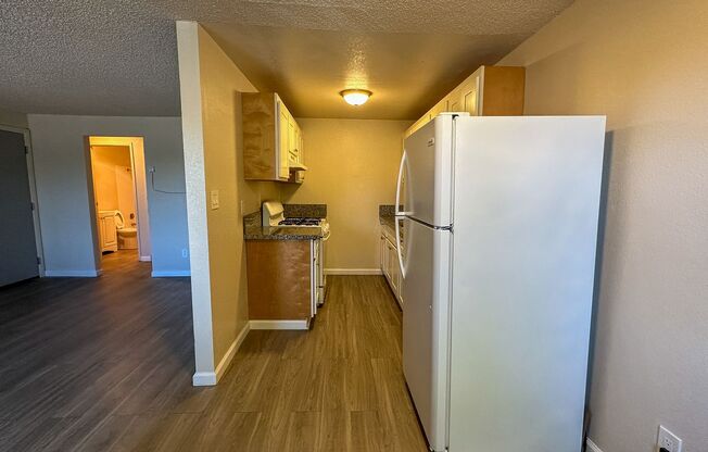 1 bed, 1 bath, 650 sqft, $1,245