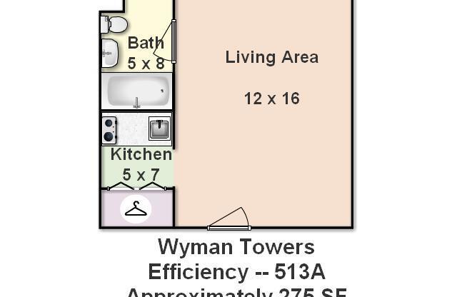 Studio, 1 bath, 270 sqft, $1,100, Unit 513A