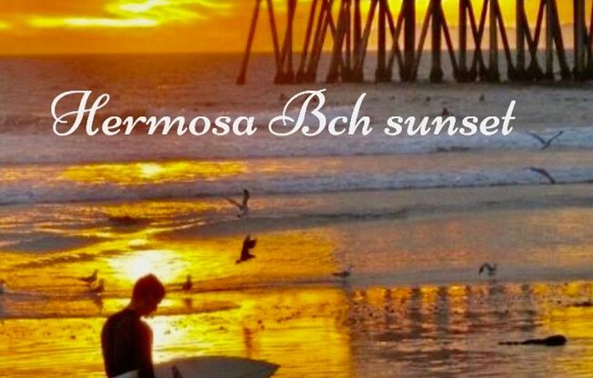 Studio, 1 bath, 650 sqft, $3,395, Unit 241