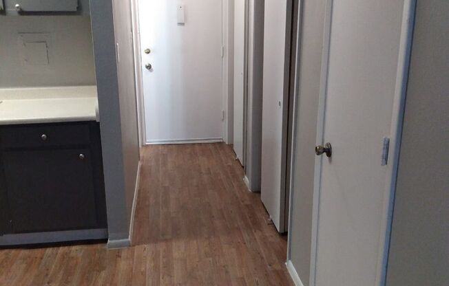 Studio, 1 bath, 478 sqft, $1,025, Unit 117