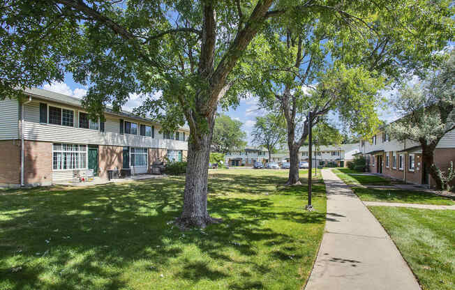 Tree lined sidewalks