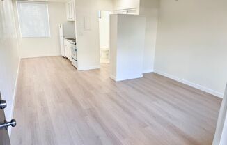 Studio, 1 bath, 385 sqft, $1,425