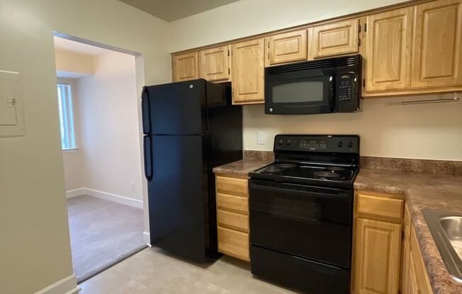1 bed, 1 bath, 745 sqft, $1,550, Unit 14202 #A1