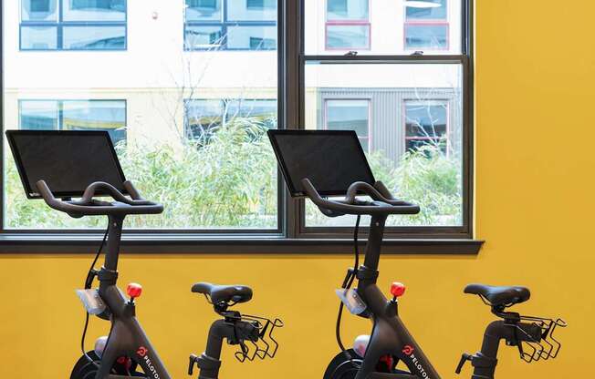 Two stationary bikes are placed in front of a window.