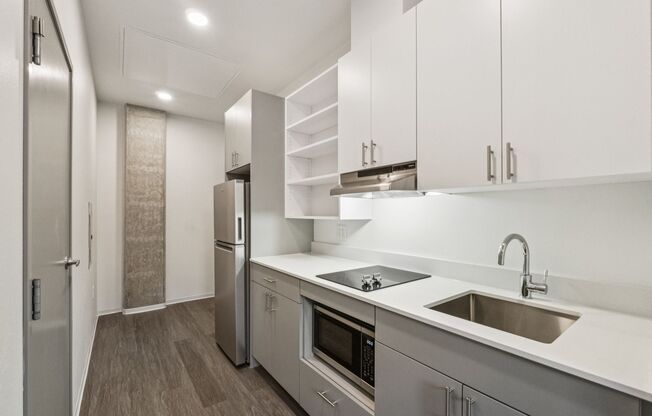 Studio, 1 bath, 289 sqft, $1,500, Unit 109