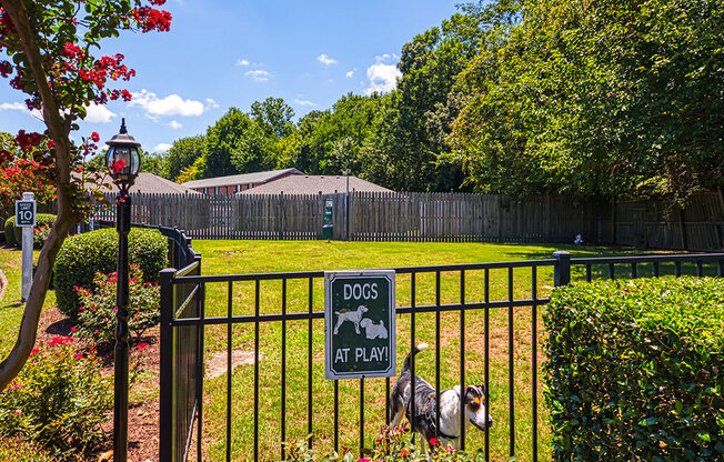 Dog Park at Holly Point Apartments in Chesapeake VA