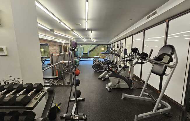 The Plex