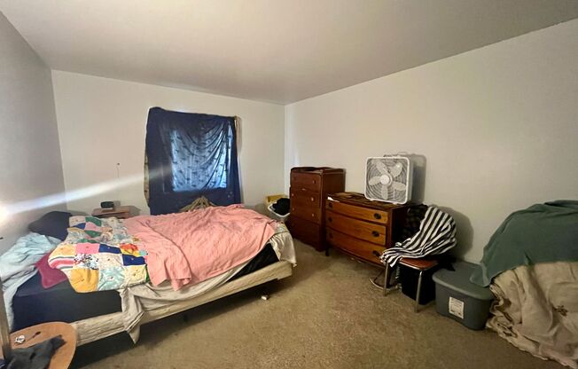 1 bed, 1 bath, $1,095, Unit 207