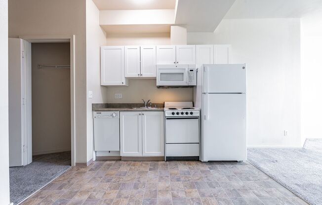 Studio, 1 bath, 414 sqft, $949, Unit 303