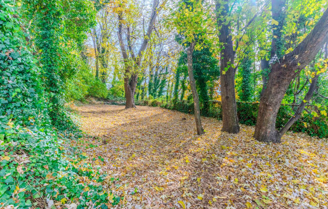 Manayunk Garden Apartments