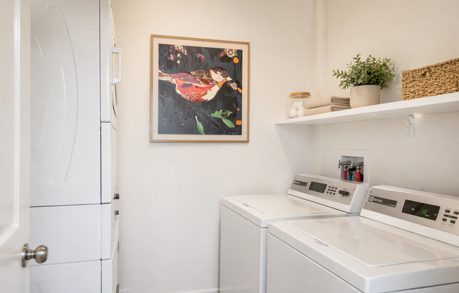 Studio, 1 bath, 382 sqft, $2,045, Unit 11