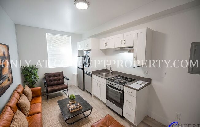 Studio, 1 bath, 288 sqft, $1,125, Unit 1B