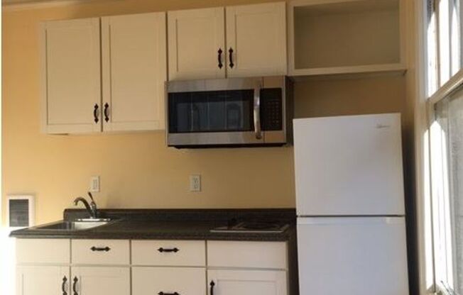 Studio, 1 bath, 300 sqft, $1,100, Unit 206