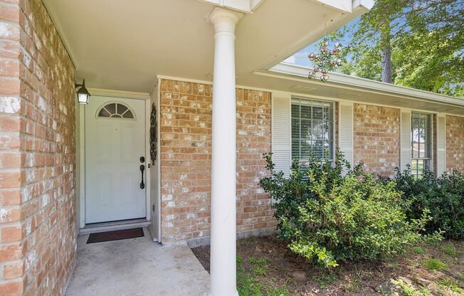 Huge yard with plenty room for everyone
