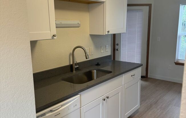 Updated 1 Bedroom Apartment - New Cabinets, Counter tops & Flooring! $99 Deposit Move in Special
