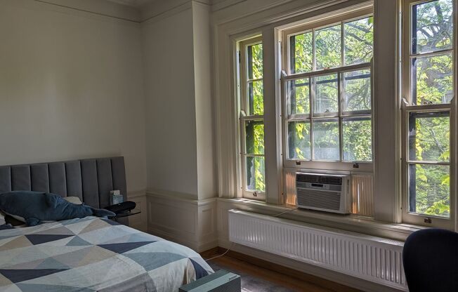 1 bed, 1 bath, 800 sqft, $1,750, Unit A21