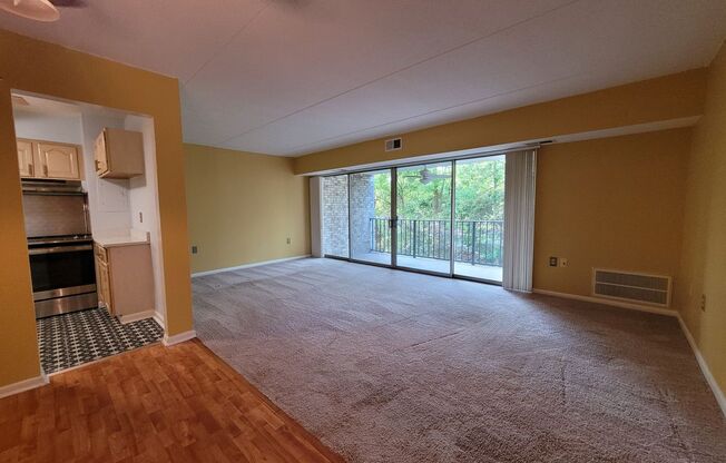 2 beds, 2 baths, $1,450, Unit Unit 405W