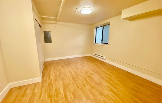 Studio, 1 bath, 393 sqft, $1,445, Unit 113