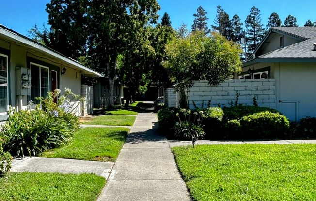 1 bed, 1 bath, 700 sqft, $1,349, Unit 12