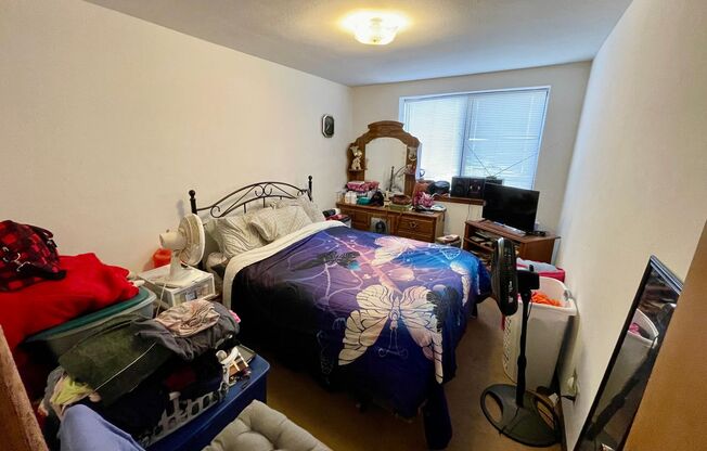 1 bed, 1 bath, $1,025, Unit 207