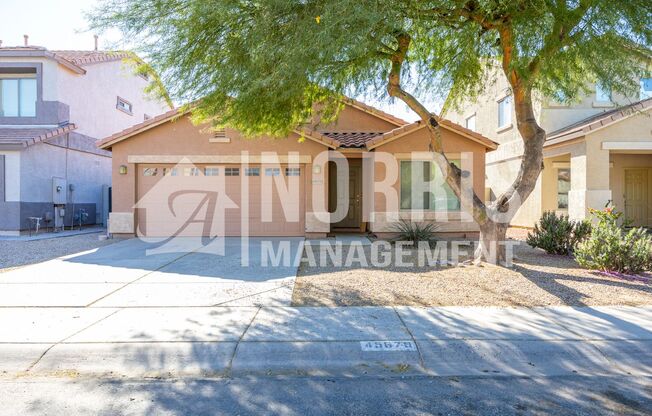 Beautiful Home with a Pool in Maricopa