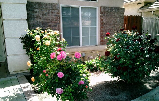 SW SPLIT WING BEAUTY !!! SPECIAL! $3047.50 moves you in! Application Pending