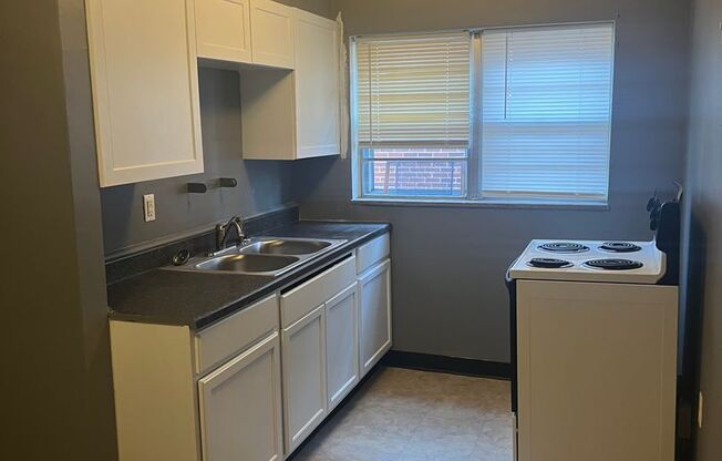 1 bed, 1 bath, 1,000 sqft, $800, Unit Unit 4